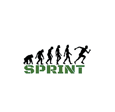 ספרינט כושר קרבי